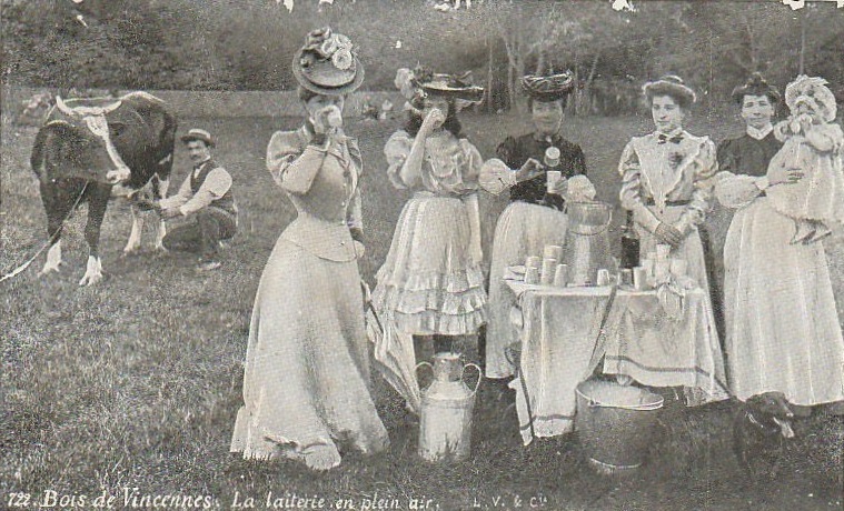 Laiterie, archives du muse des boissons